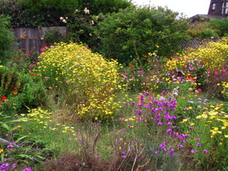 garden studio yard